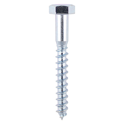 Coach Screw DIN 571 - BZP