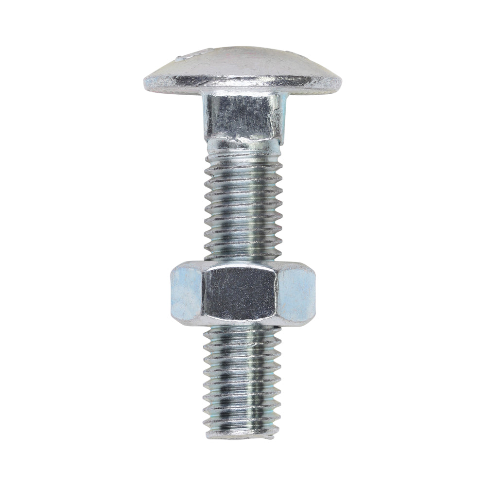 Carriage Bolts & Hex Nuts - Zinc M8 x 35