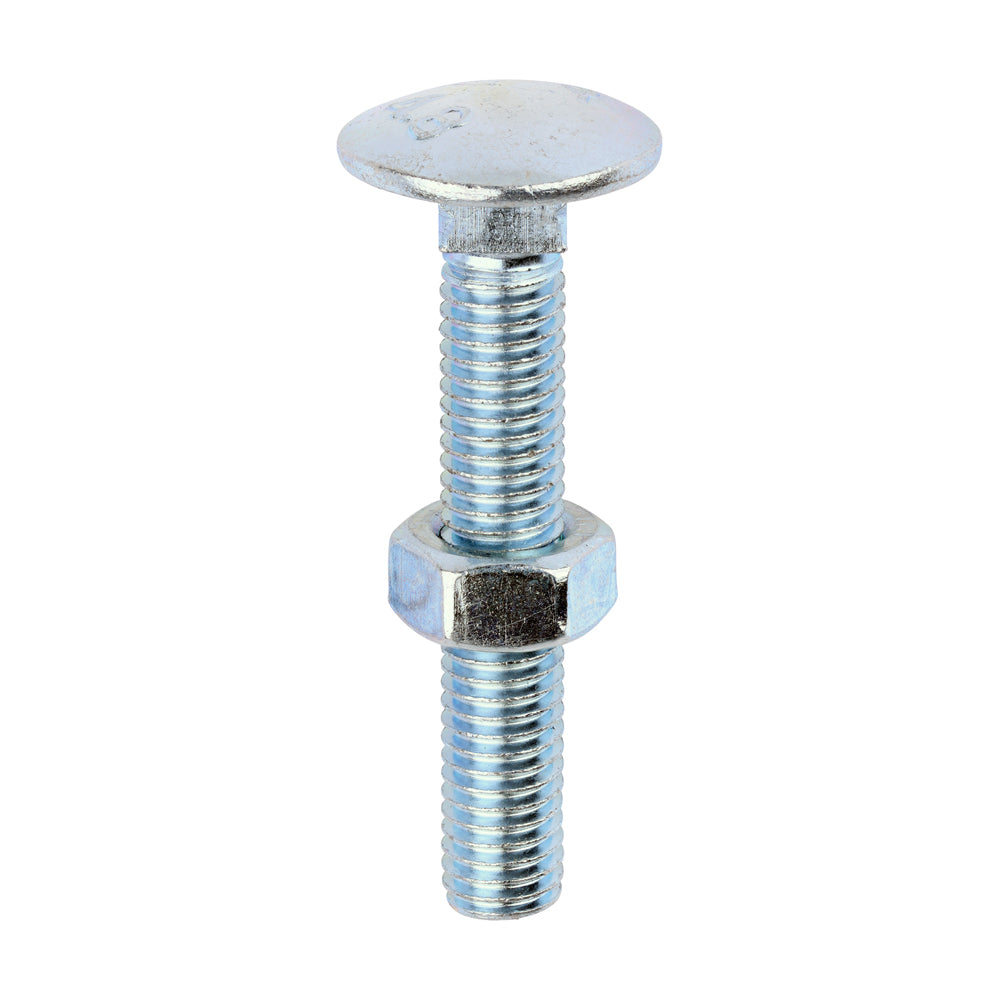 Carriage Bolts & Hex Nuts - Zinc M8 x 50