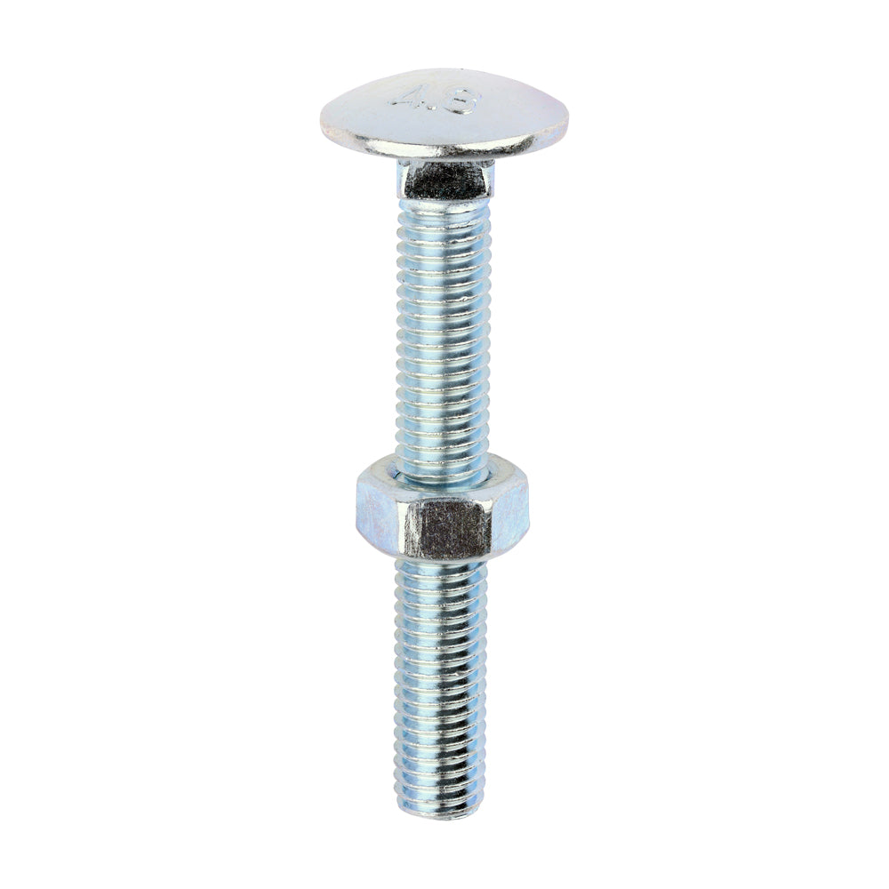 Carriage Bolts & Hex Nuts - Zinc M8 x 60