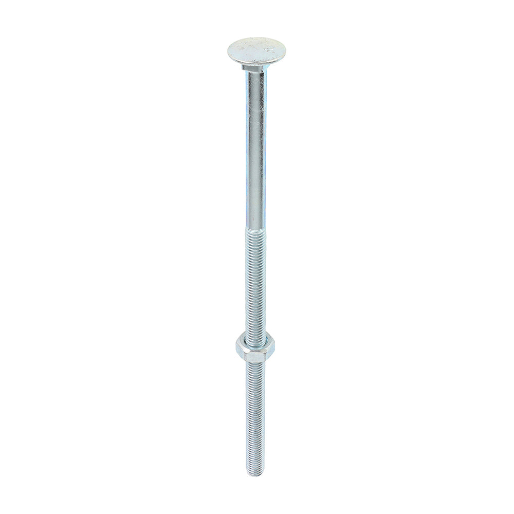 Carriage Bolts & Hex Nuts - Zinc M10 x 240