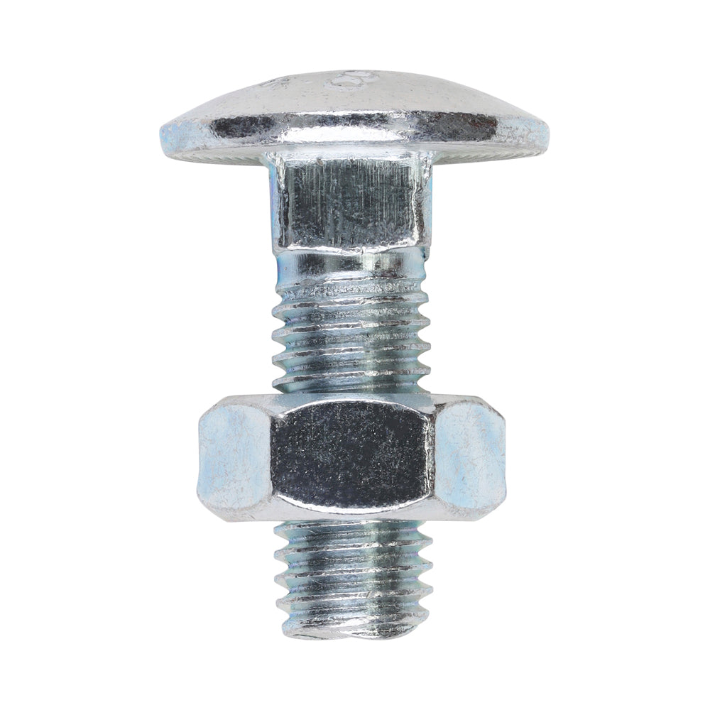 Carriage Bolts & Hex Nuts - Zinc M10 x 30