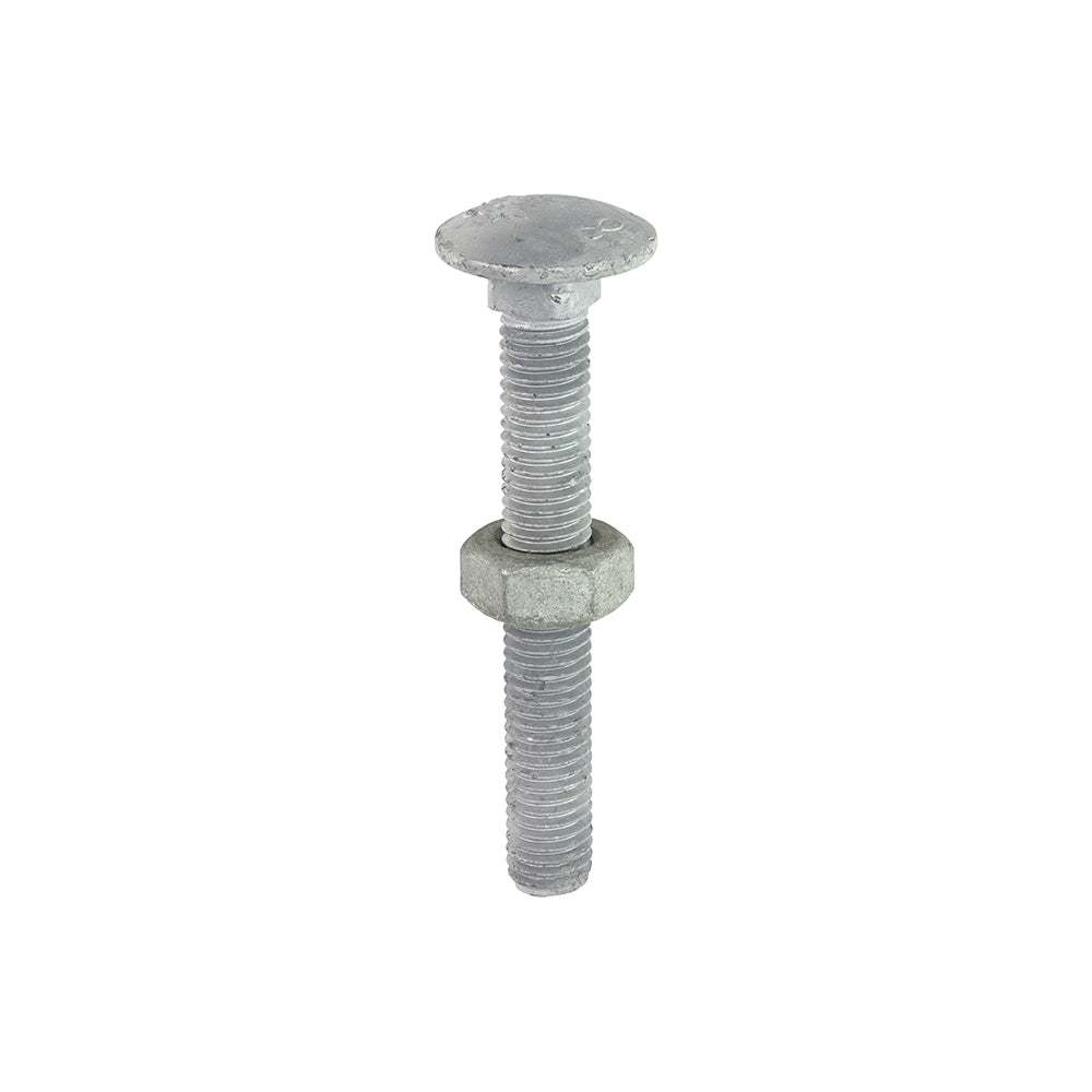 Carriage Bolts & Hex Nuts - Hot Dipped Galvanised M10 x 75