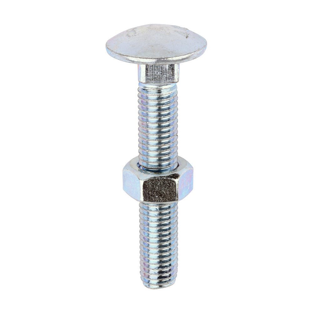 Carriage Bolts & Hex Nuts - Zinc M12 x 75