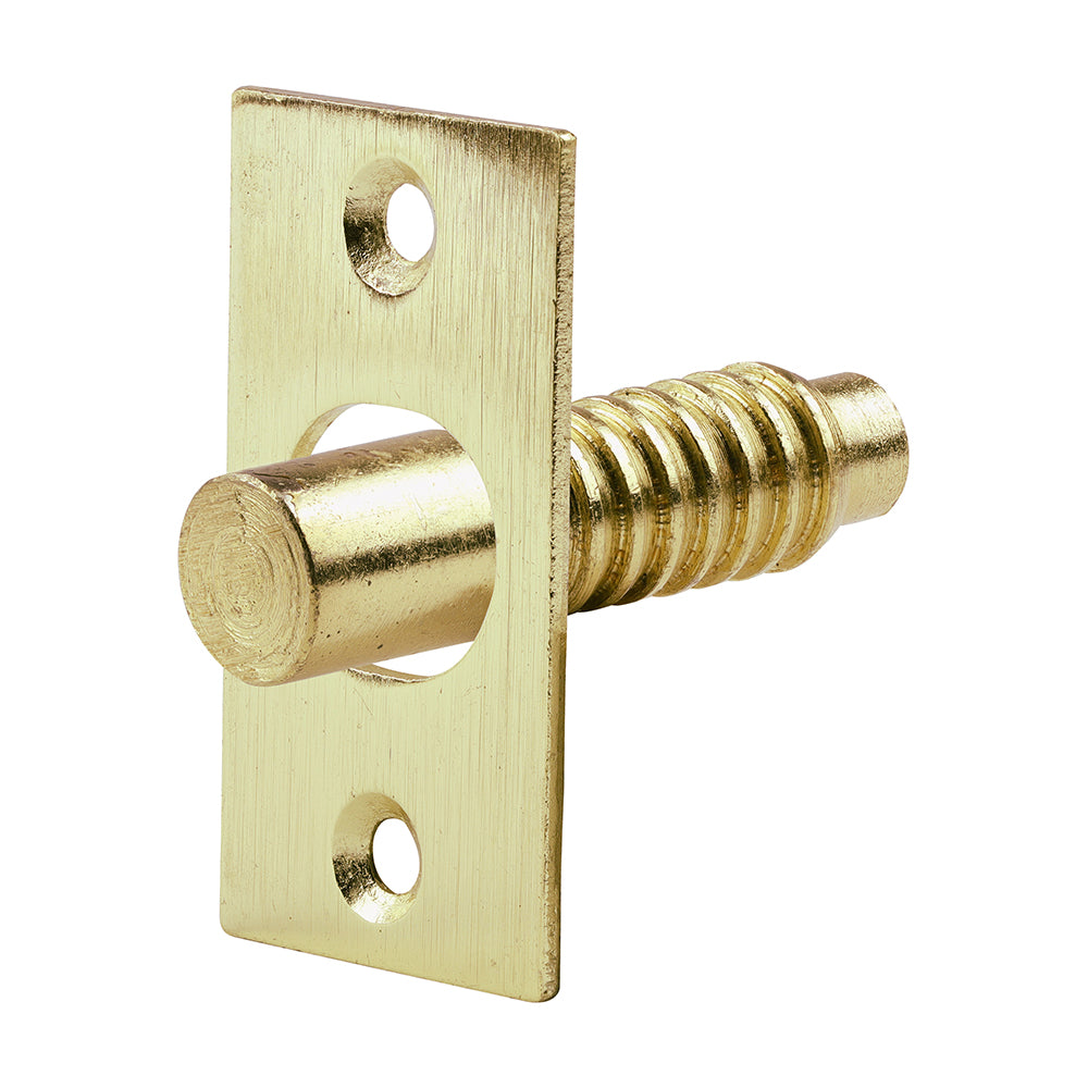 Hinge Bolts Electro Brass (Pack 2) - 48mm