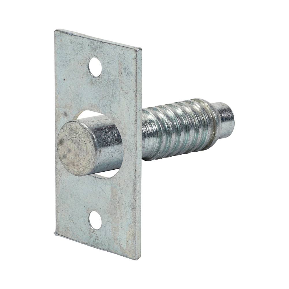 Hinge Bolts Zinc - 48mm (Pack 2)