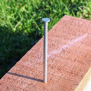 Clout Nails - Galvanised - 2.5kg Pack