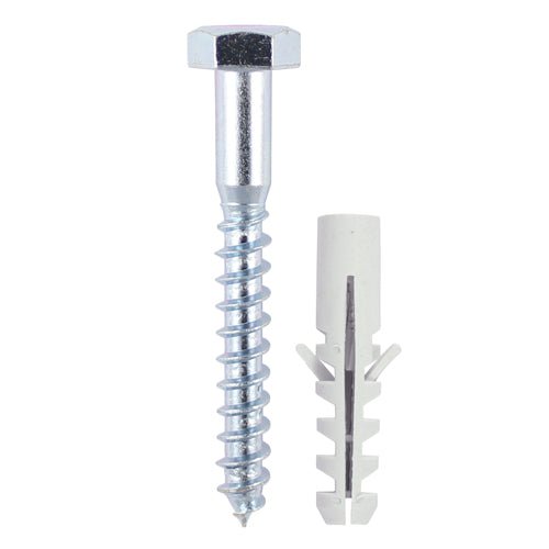 Coach Screw & Nylon Plugs