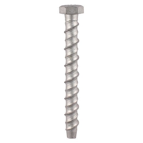 Multi-Fix Masonry Bolts - Hex - Exterior - Silver - Box