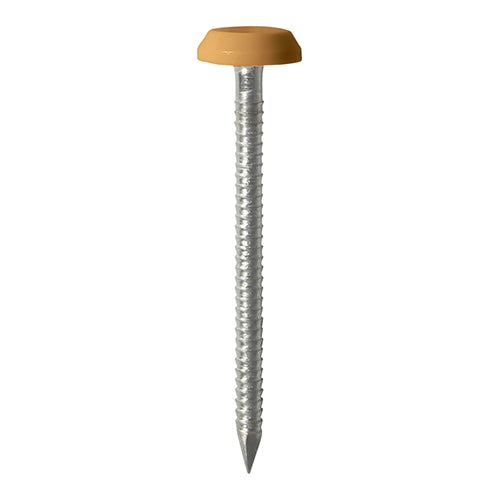 Polymer Headed Pins - Stainless Steel - Oak - Soffits, Fascias & Roofline trims