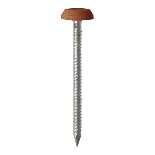 Polymer Headed Nails - A4 Stainless Steel - Clay Brown