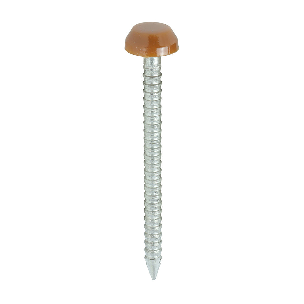 Polymer Headed Pins - A4 Stainless Steel - Clay Brown