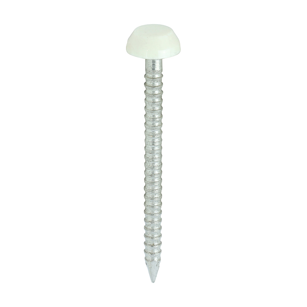 Polymer Headed Pins - A4 Stainless Steel - Cream