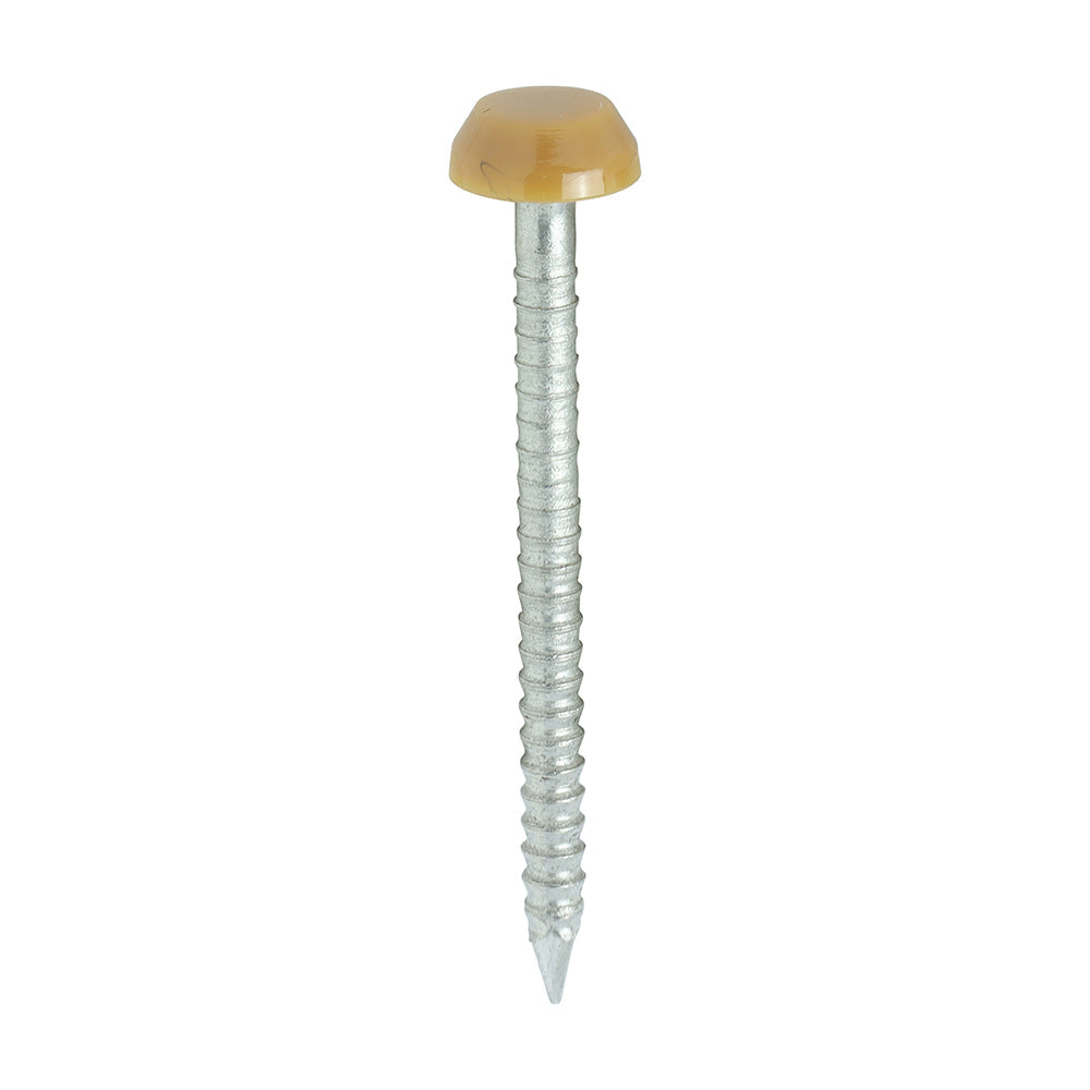 Polymer Headed Pins - A4 Stainless Steel - Oak