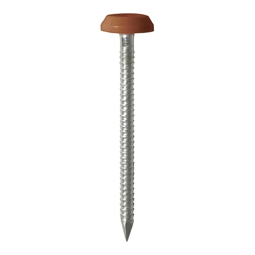 Polymer Headed Pins - Stainless Steel - Clay Brown - Soffits, Fascias & Roofline trims