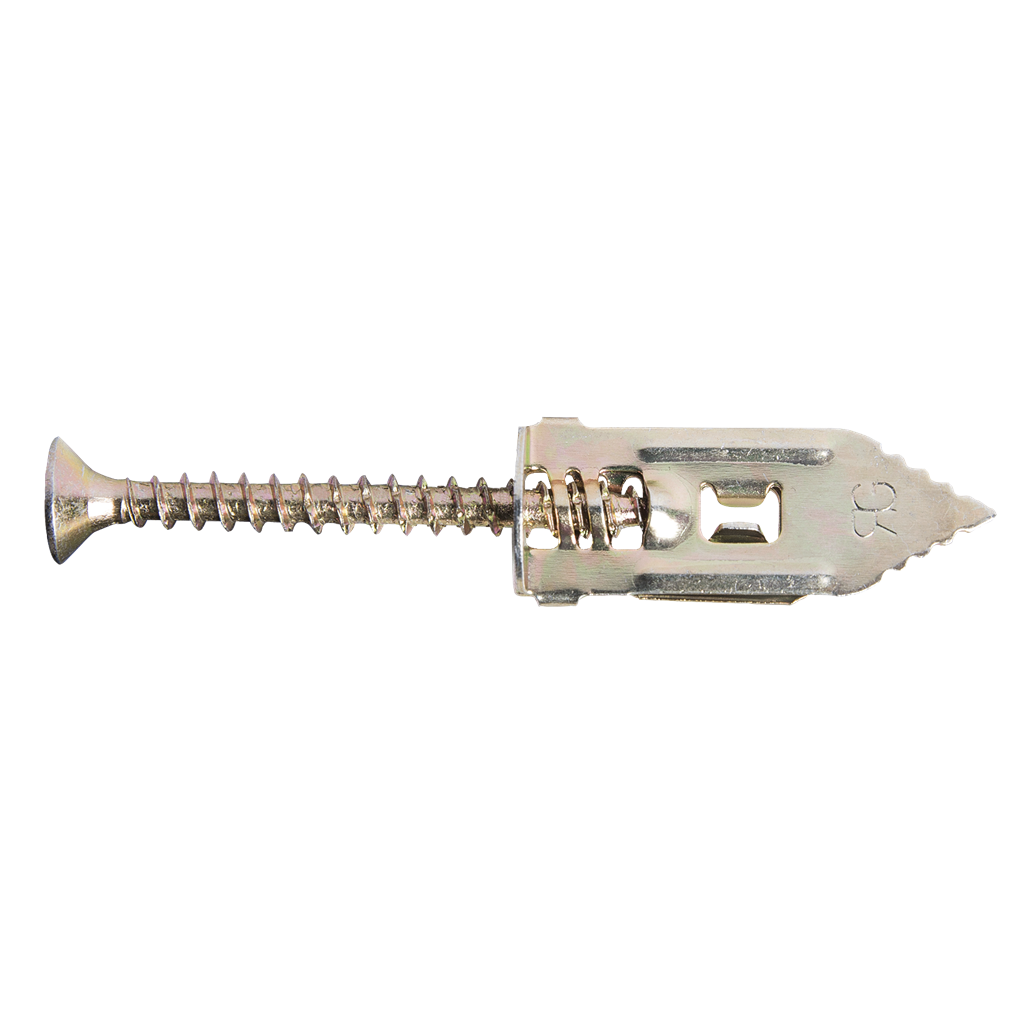 Rawlplug R-Tap-It Plasterboard Fixing With Screws 12 X 30Mm (Pk Of 25)