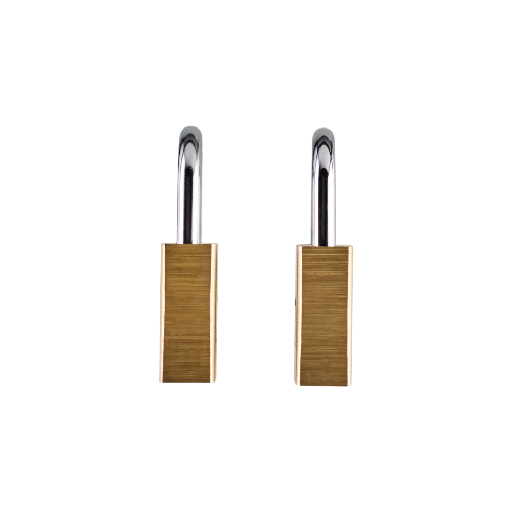 Squire Premium Brass Lion Padlock - Keyed Alike - LN4T (Pack 2)