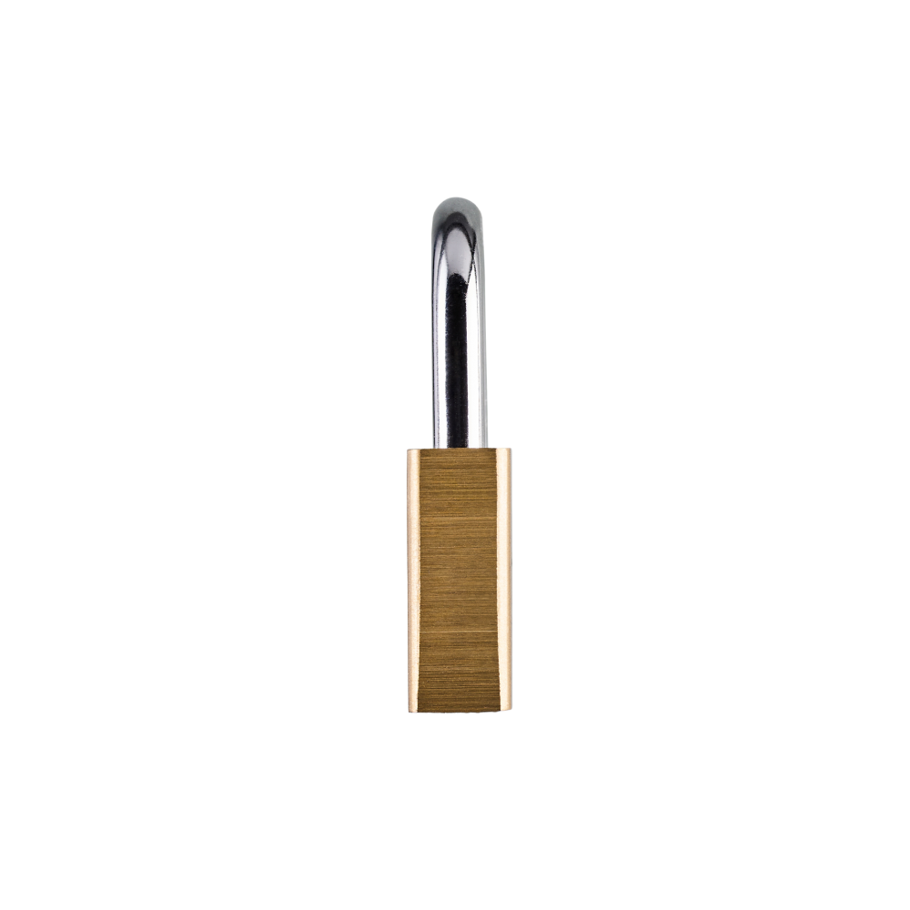 Squire Premium Brass Lion Padlock - LN5 - 50mm