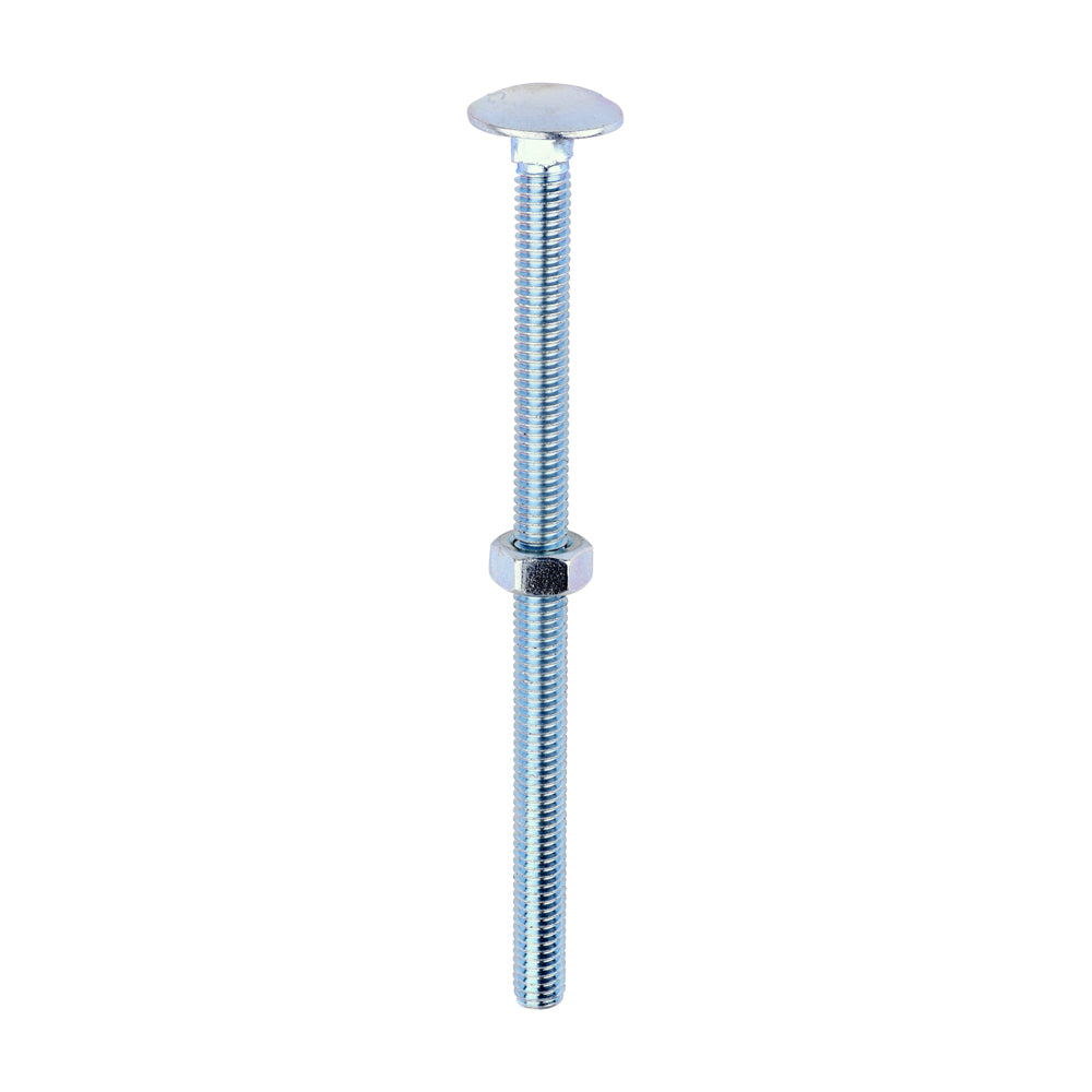 Carriage Bolts & Hex Nuts - Zinc M6 x 100
