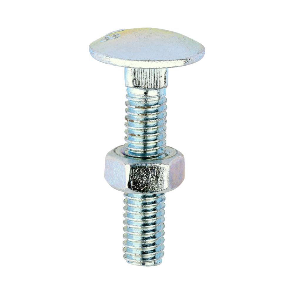 Carriage Bolts & Hex Nuts - Zinc M6 x 30