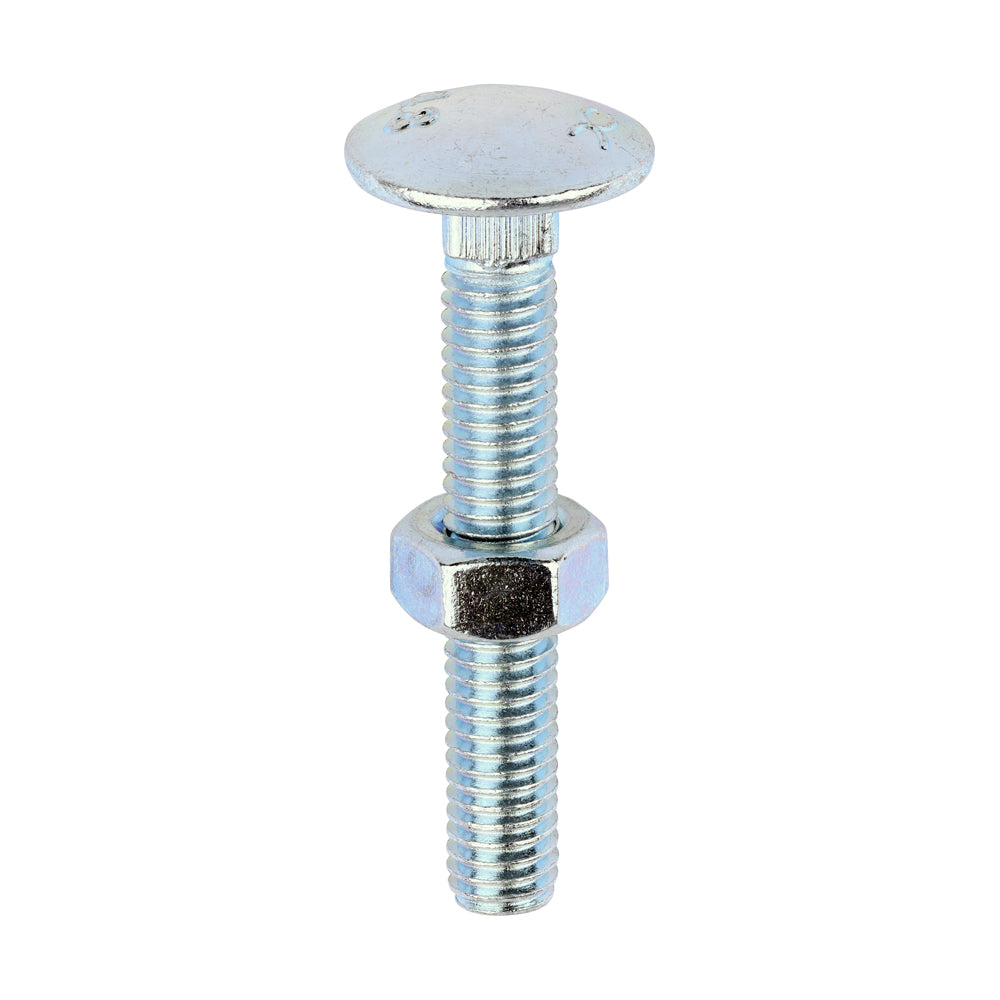 Carriage Bolts & Hex Nuts - Zinc M6 x 40