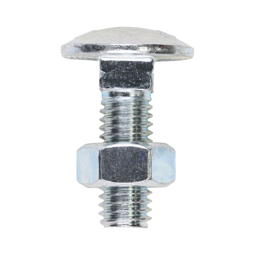 Carriage Bolts & Hex Nuts - Zinc M8 x 25