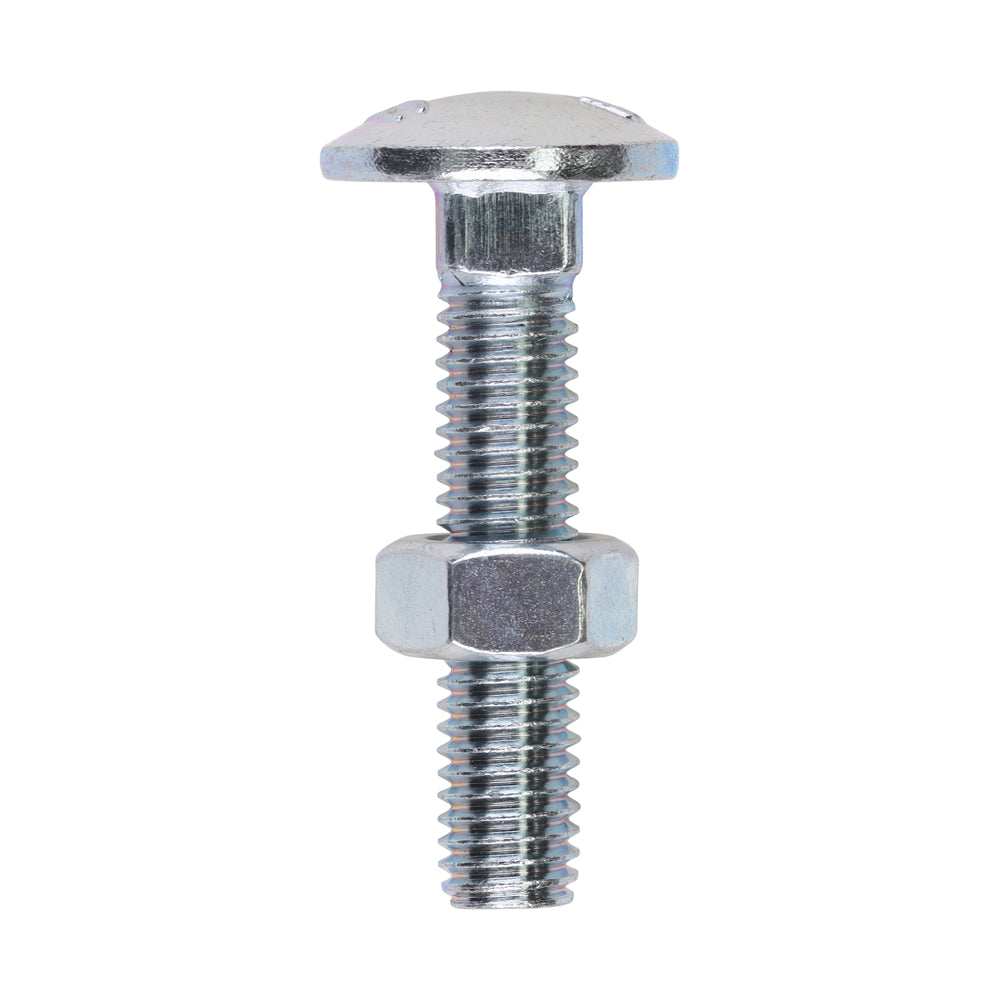 Carriage Bolts & Hex Nuts - Zinc M8 x 40