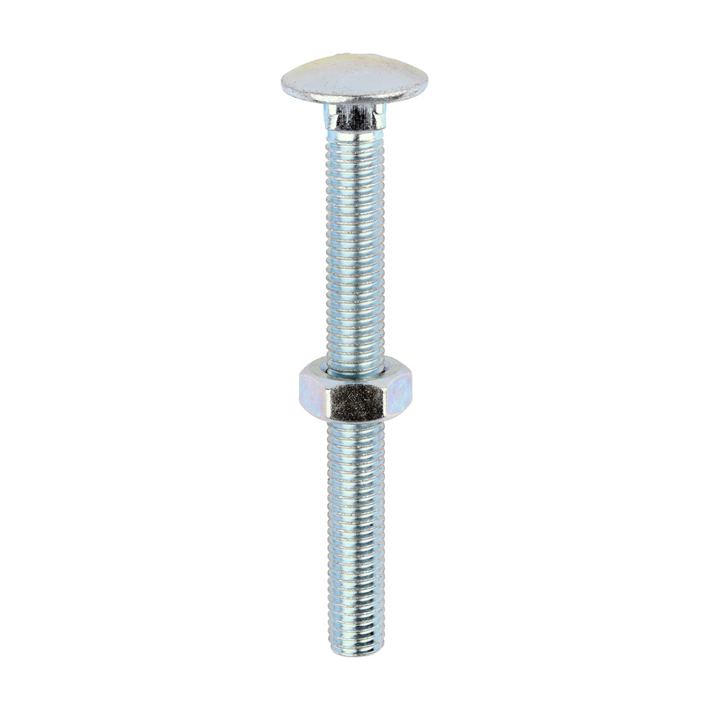 Carriage Bolts & Hex Nuts - Zinc M10 x 100