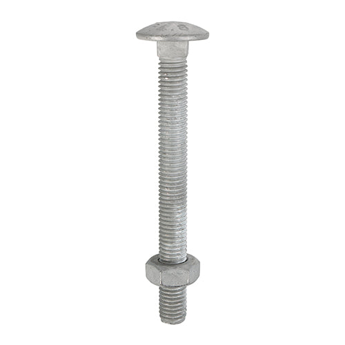 Carriage Bolts & Hex Nuts - Hot Dipped Galvanised M10 x 180