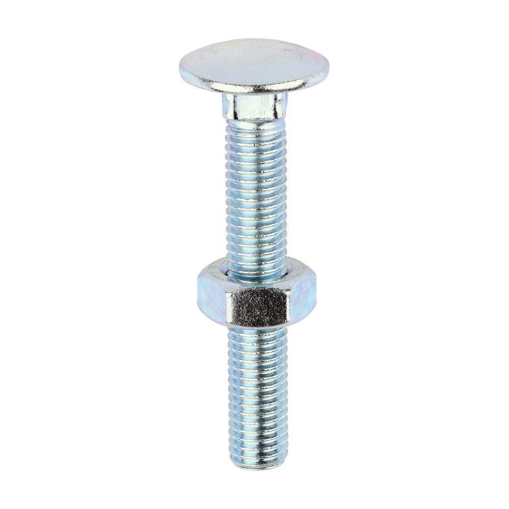 Carriage Bolts & Hex Nuts - Zinc M10 x 65