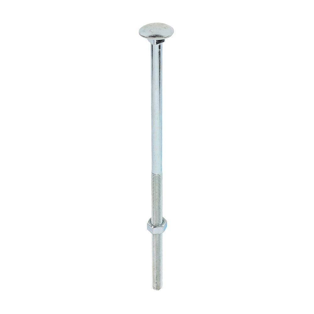 Carriage Bolts & Hex Nuts - Zinc M12 x 300