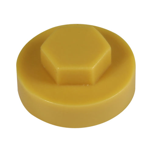 Hex Cover Cap - Bamboo