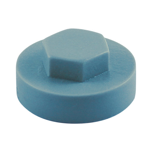 Hex Cover Cap - Squirrel