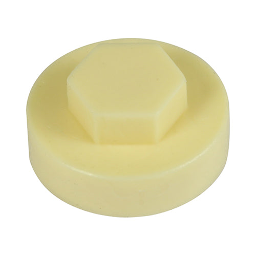 Hex Cover Cap - Honesty