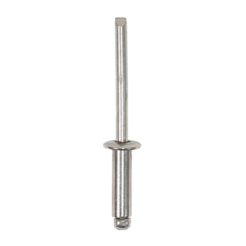 Rivets - Dome Head - Stainless Steel 4.0 x 12