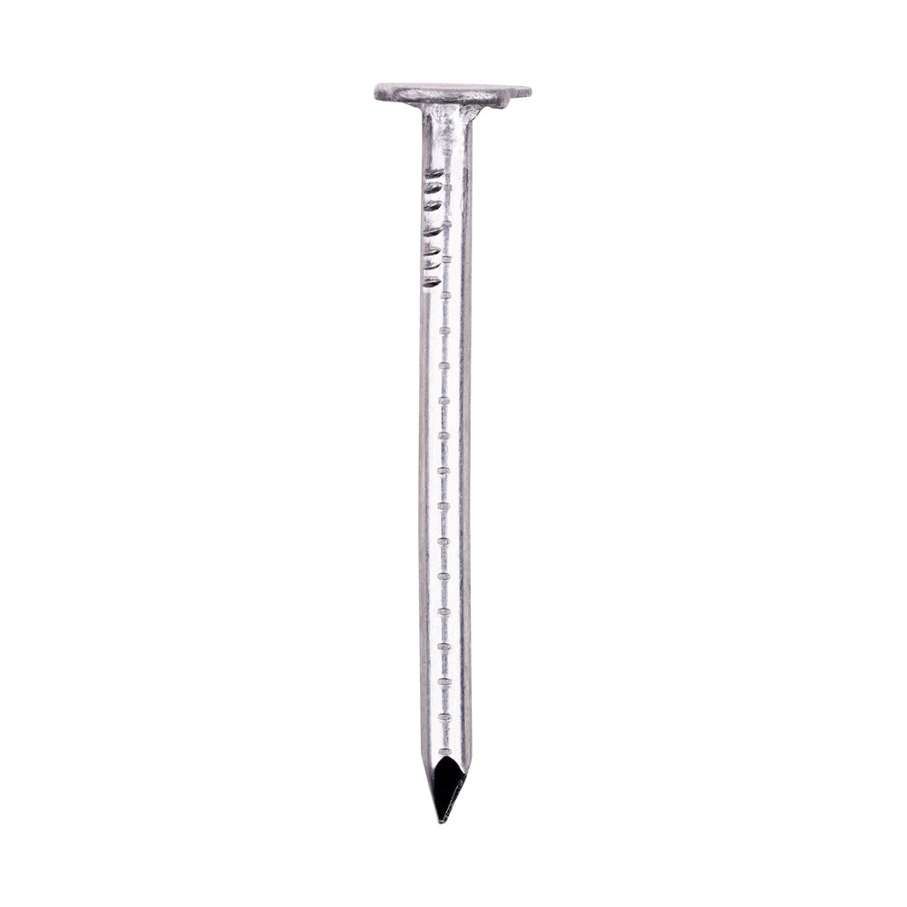 Clout Nails - Aluminium 38 x 2.65