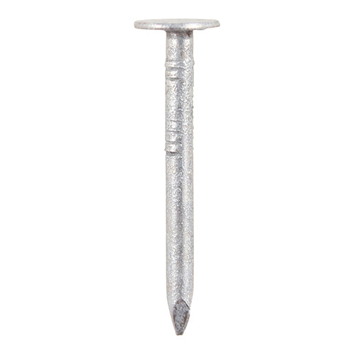 Clout Nails - Galvanised 75 x 3.75