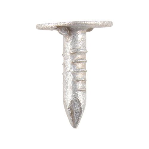 Extra Large Head Clout Nails - Galvanised 13 x 3.00