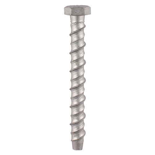 Masonry Bolts - Hex - Exterior - Silver 12.0 x 100