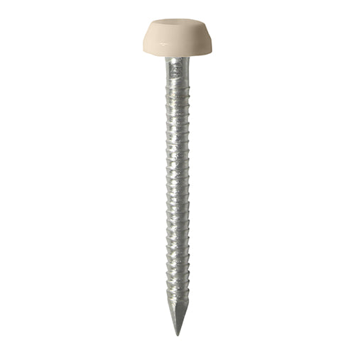 Polymer Headed Pins - A4 Stainless Steel - Beige 25mm