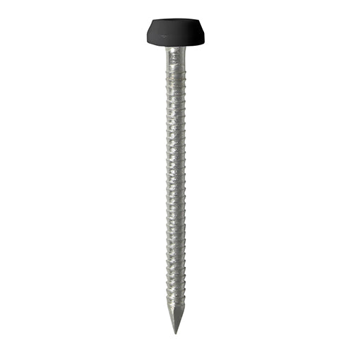 Polymer Headed Pins - Stainless Steel - Black 30mm