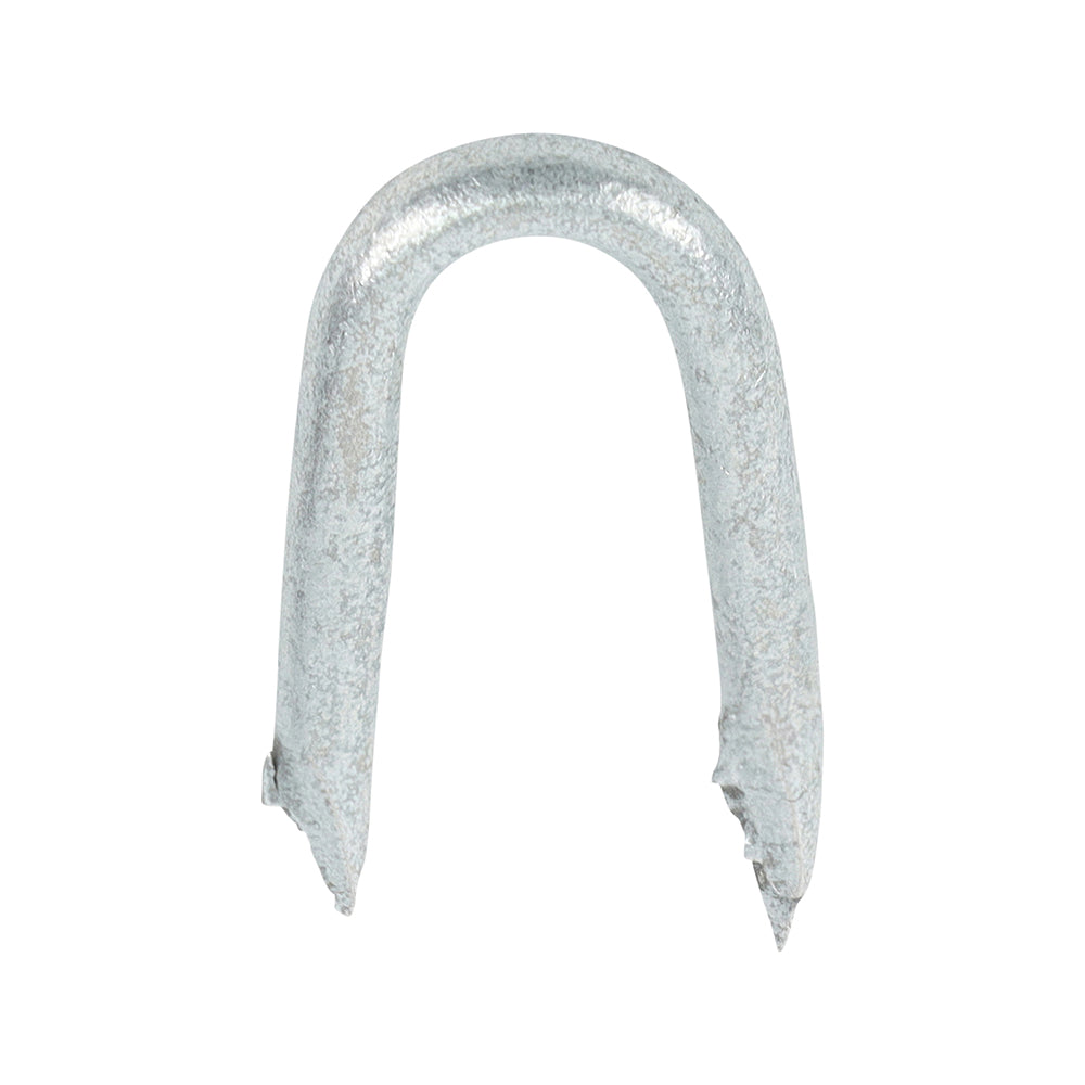 Presser Point Staples - Galvanised 25 x 2.65
