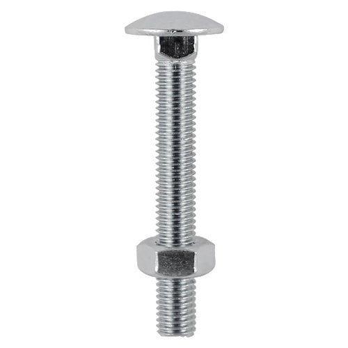 Carriage Bolts & Hex Nuts - Stainless Steel