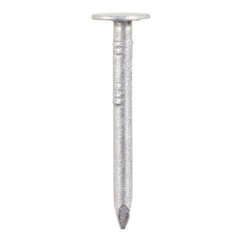 Clout Nails - Galvanised - 2.5kg Pack