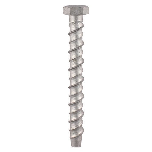 Multi-Fix Masonry Bolts - Hex - Exterior - Silver - Box