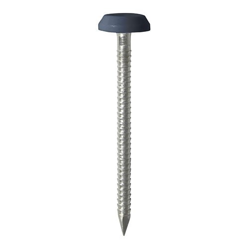 Polymer Headed Pins - Stainless Steel - Anthracite Grey - Soffits, Fascias & Roofline trims