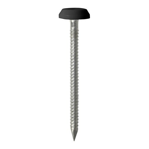 Polymer Headed Pins - Stainless Steel - Black - Soffits, Fascias & Roofline trims