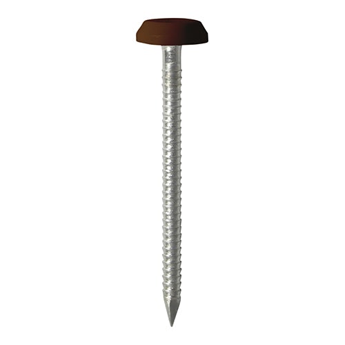 Polymer Headed Pins - Stainless Steel - Mahogany - Soffits, Fascias & Roofline trims
