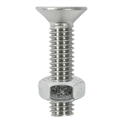 Socket Screws & Hex Nuts - Countersunk - Stainless Steel