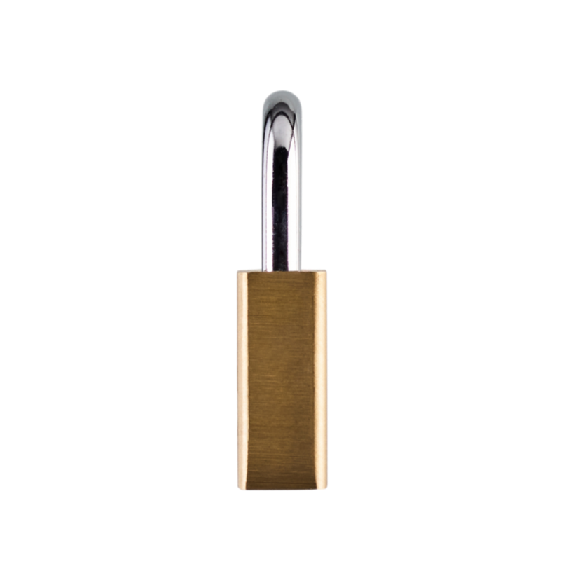 Squire Premium Brass Lion Padlock - LN3 - 30mm